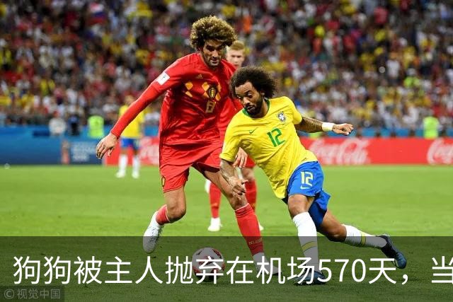 狗狗被主人抛弃在机场570天,当主人回来接它时,看哭了所有人