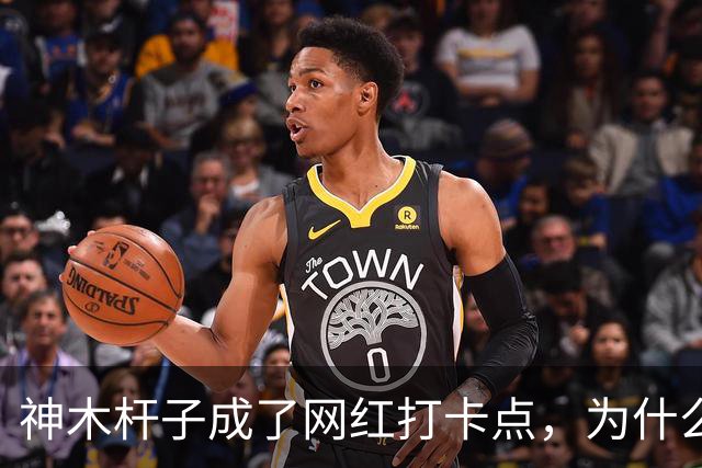 神木杆子成了网红打卡点，为什么要围起来？